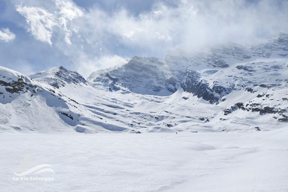 IMG20240323123742 960