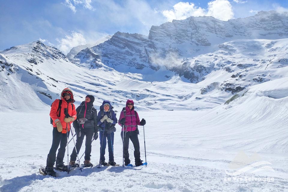 IMG20240323134135 960