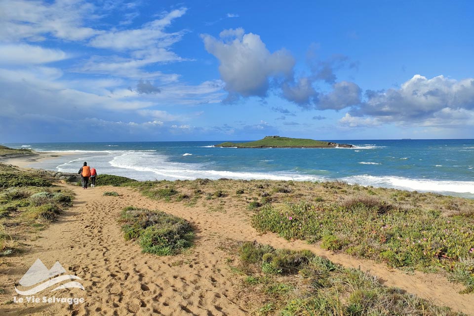 IMG20240331092829 960