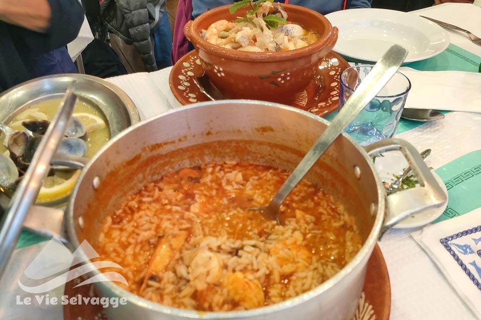 IMG20240402195408 960