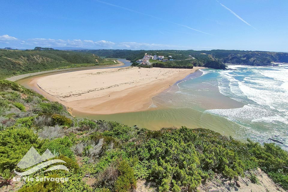 IMG 20240408 164535 960