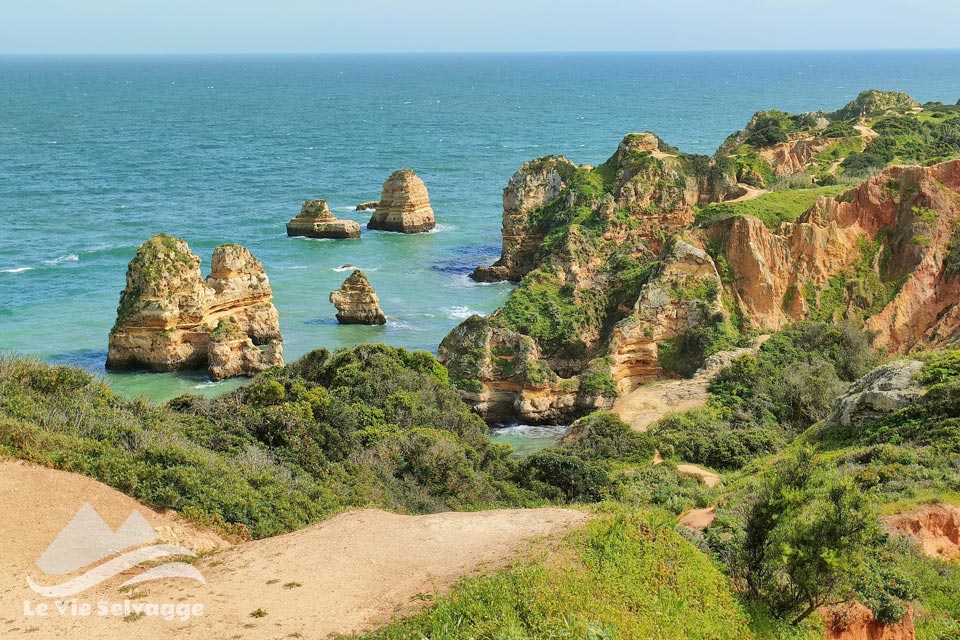 IMG 20240408 173503 960