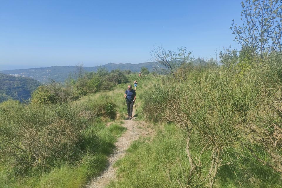 IMG20240414111434 960