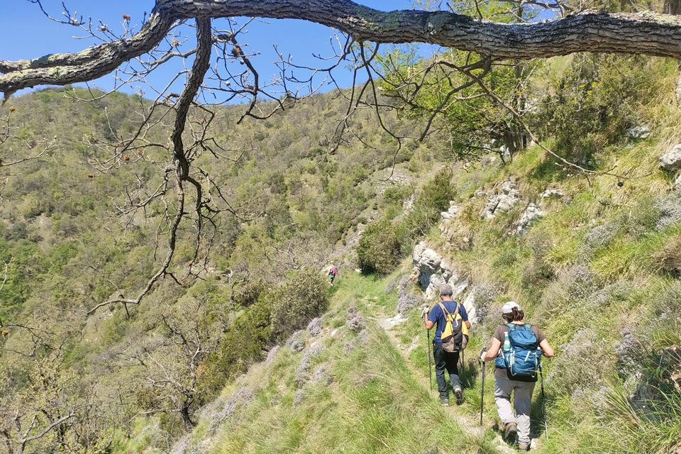 IMG20240414132102 960