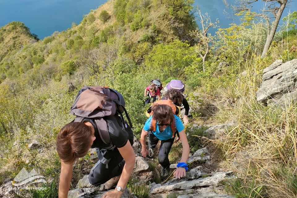 IMG20240420104514 960