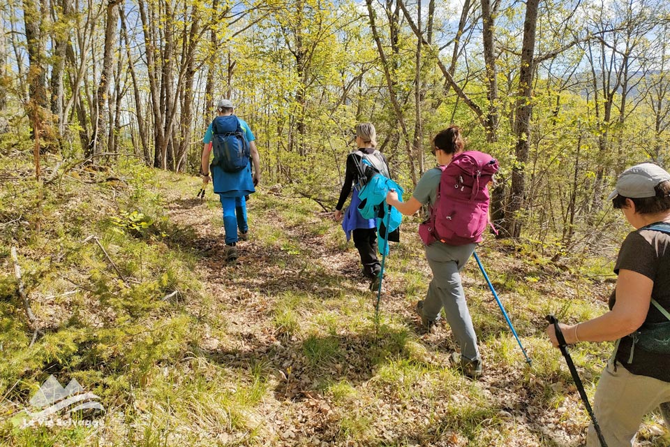 IMG20240421110339 960