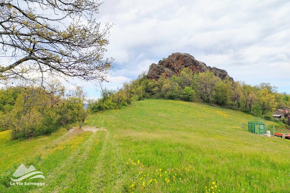 IMG20240421123416 960