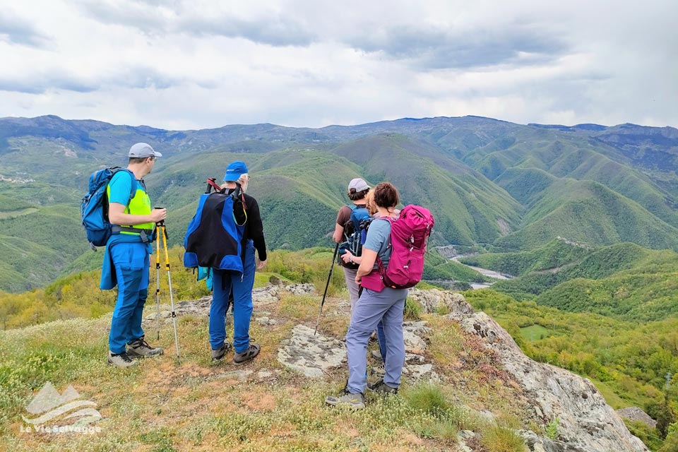 IMG20240421124757 960