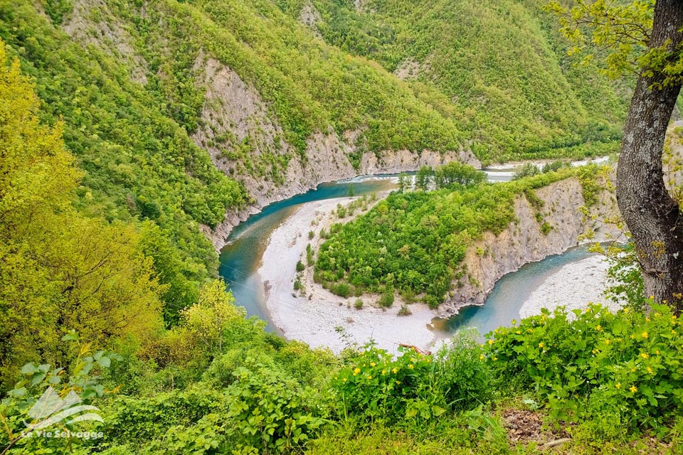 IMG20240421142751 960