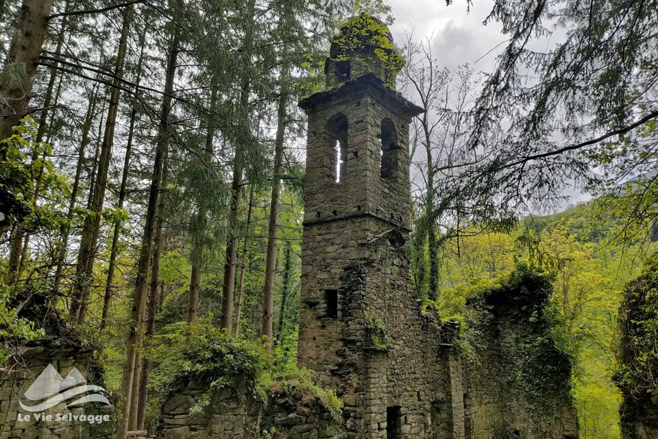 IMG20240426153133 960