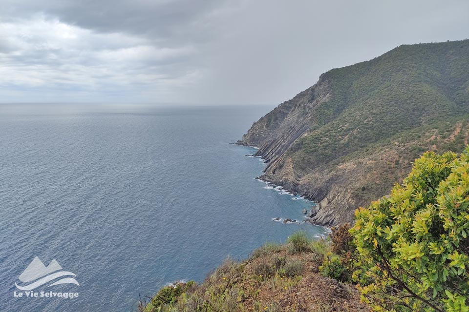 IMG20240427131158 960