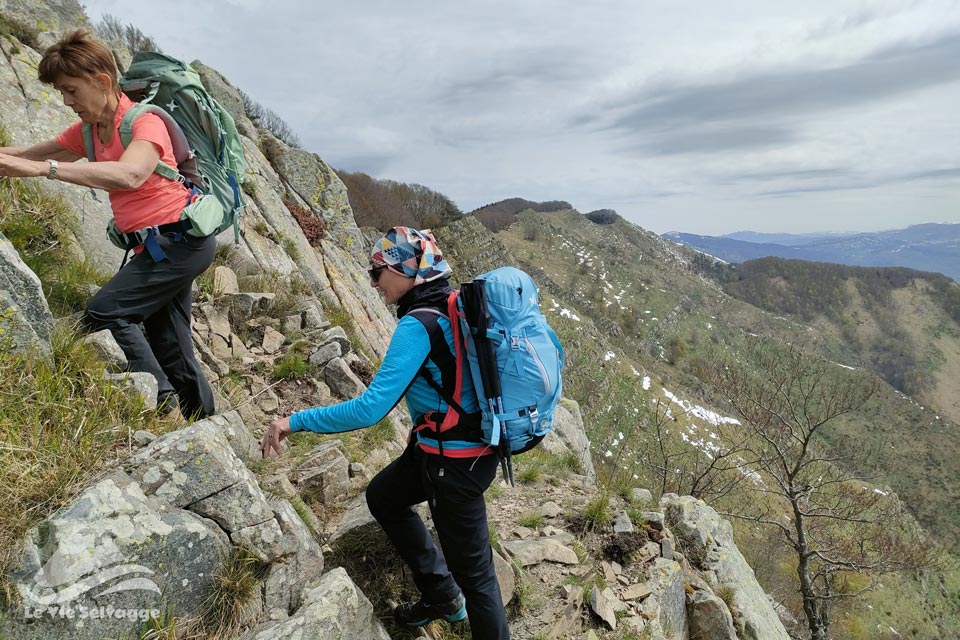 IMG20240428113411 960