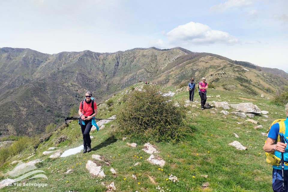 IMG20240428141415 960