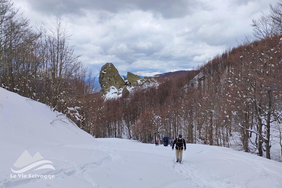 IMG 20240425 220444 960