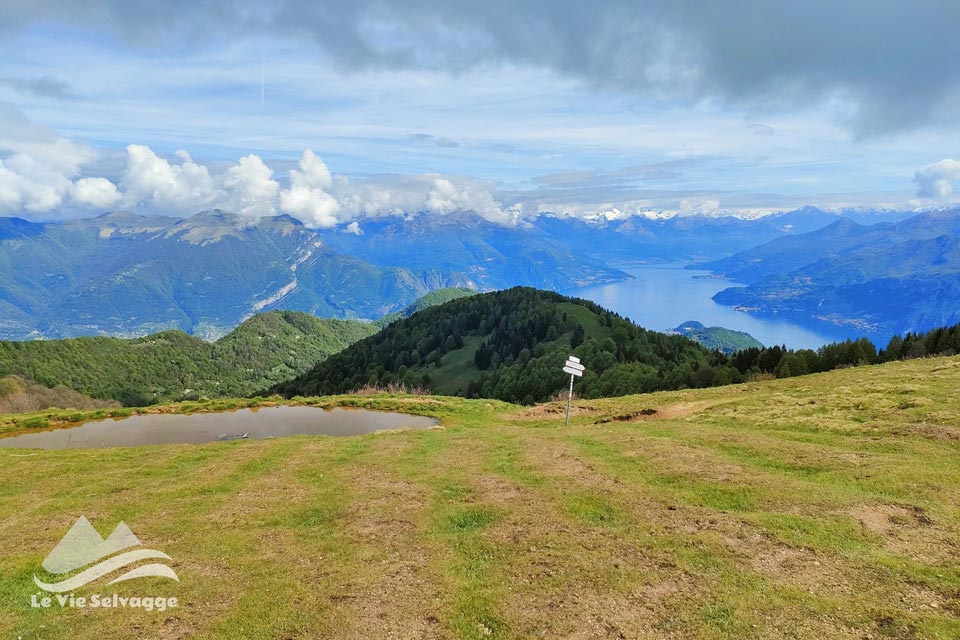 IMG 20240506 074624 960