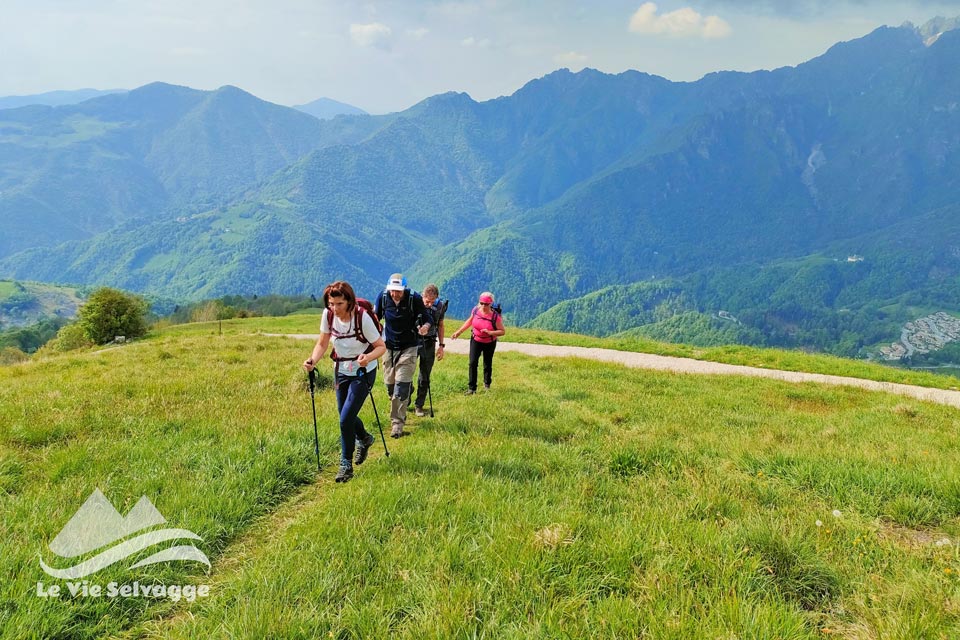 IMG 20240511 212423 960