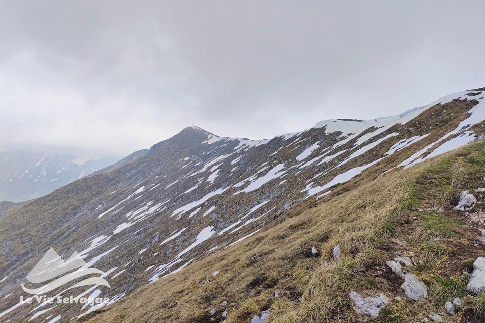 IMG 20240511 213731 960