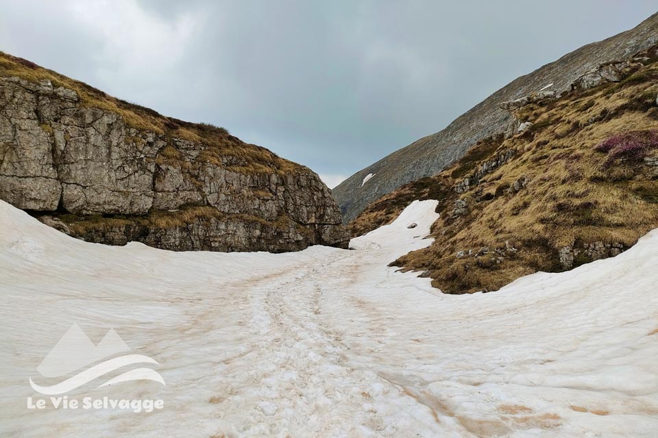 IMG 20240511 214540 960