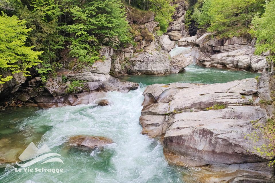 IMG 20240512 185628 960