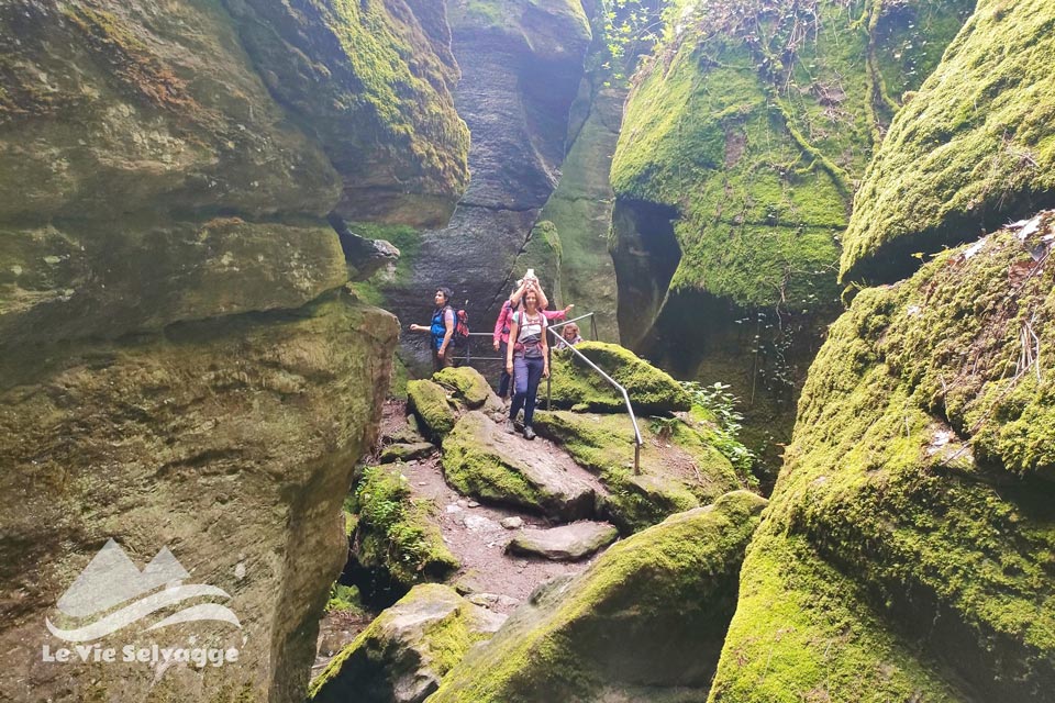 IMG 20240512 185905 960