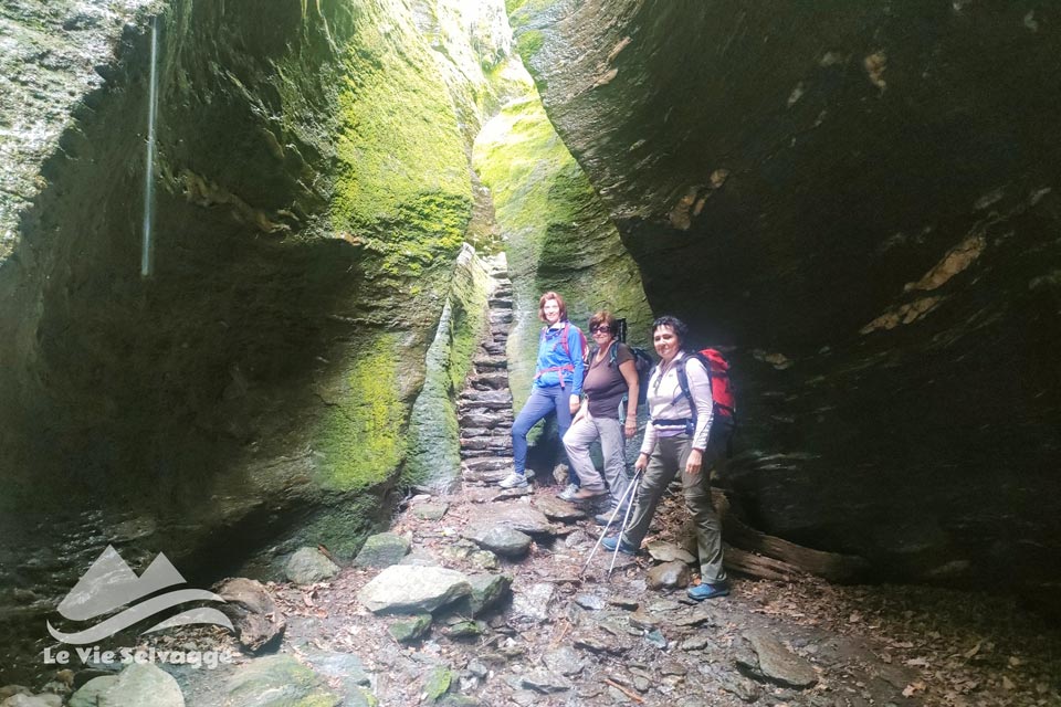 IMG 20240512 190711 960