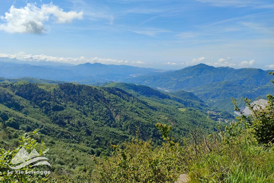 IMG20240526102329 960