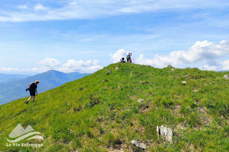 IMG20240526111028 960