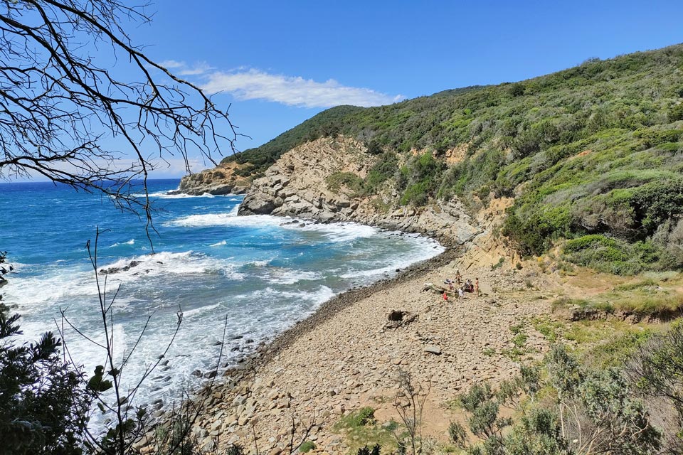 IMG20240531152401 960