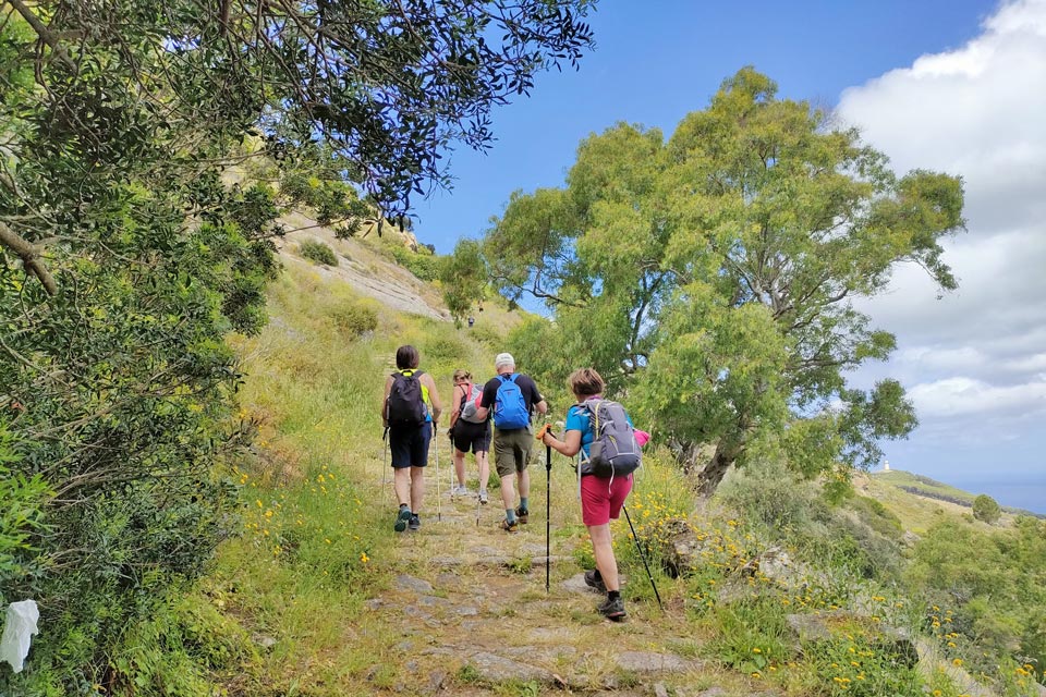 IMG20240601114318 960