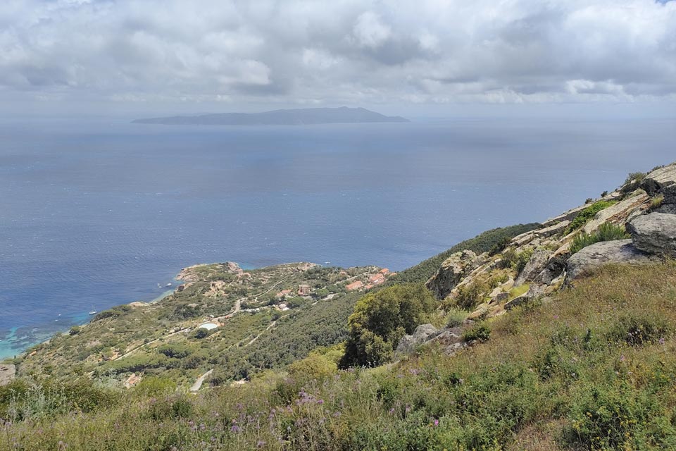 IMG20240601123932 960