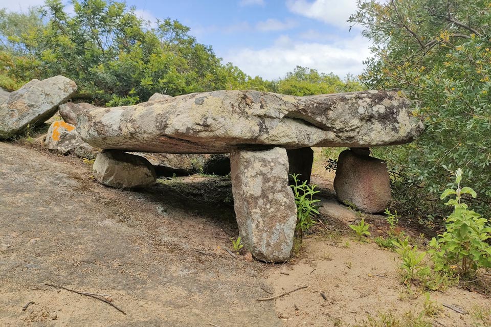 IMG20240601142331 960