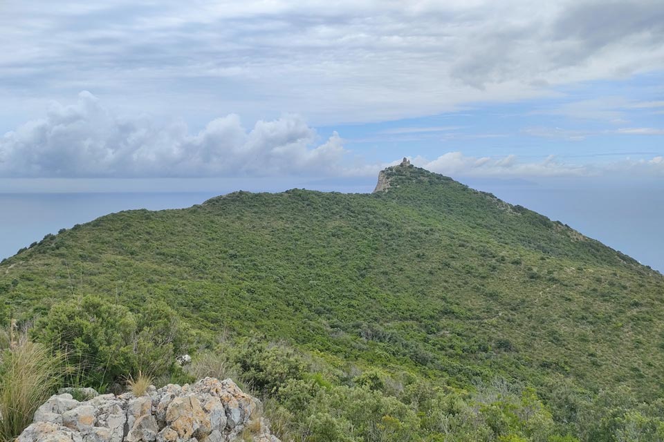 IMG20240602111858 960