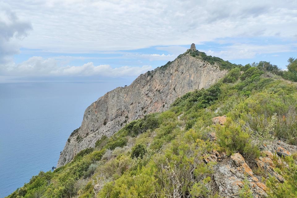 IMG20240602113045 960