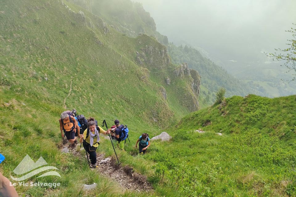 IMG20240608095906 960