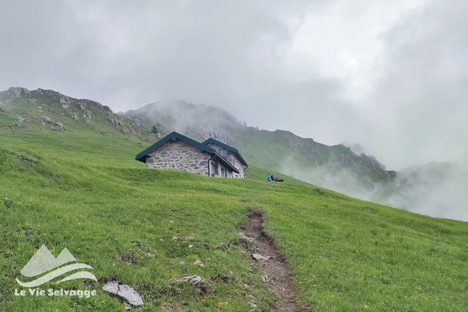 IMG20240608120042 960