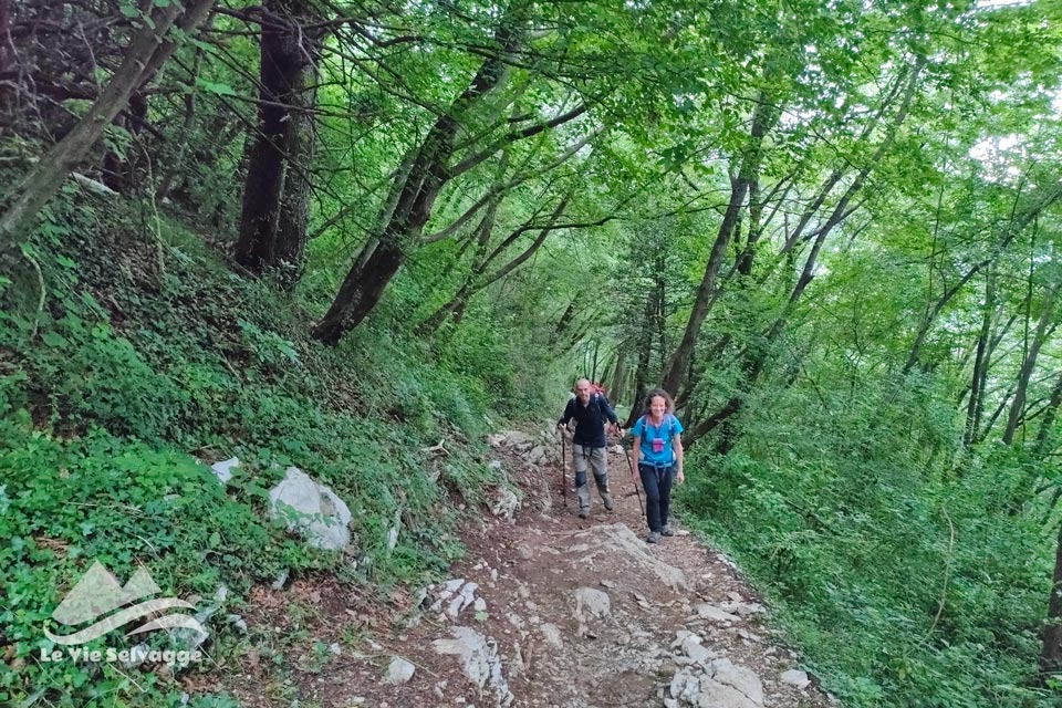 IMG20240615101754 960