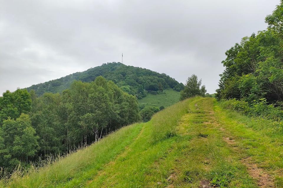 IMG20240615105016 960