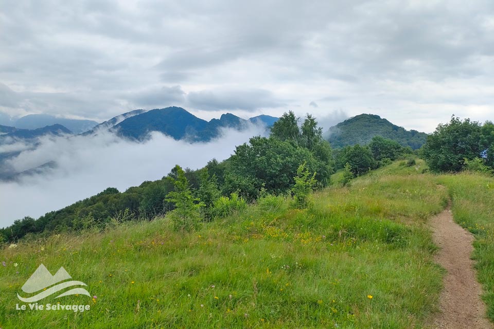 IMG20240615124808 960