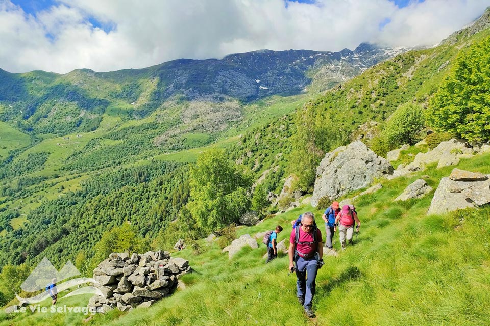 IMG 20240616 190409 960