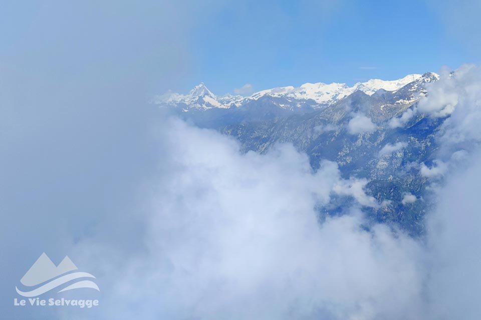 IMG 20240616 191054 960