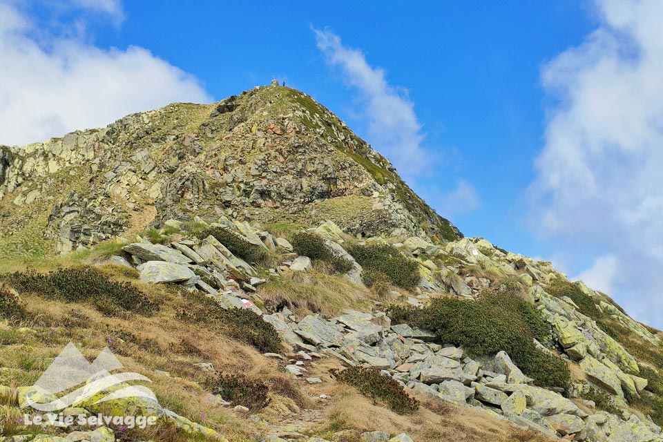 IMG 20240616 191107 960