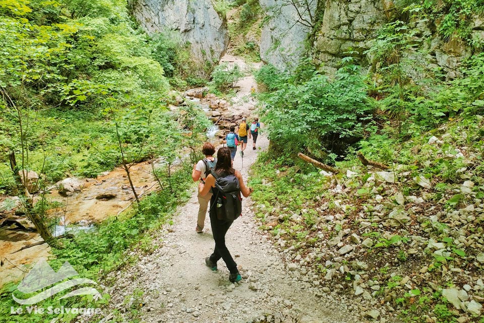 IMG 20240626 090623 960