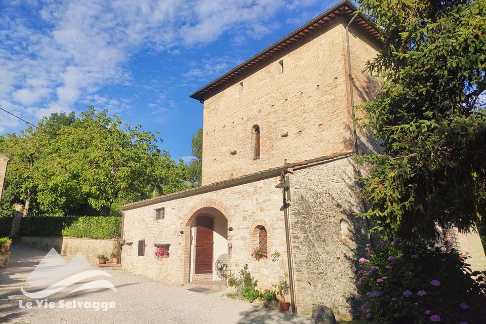 IMG 20240626 094104 960