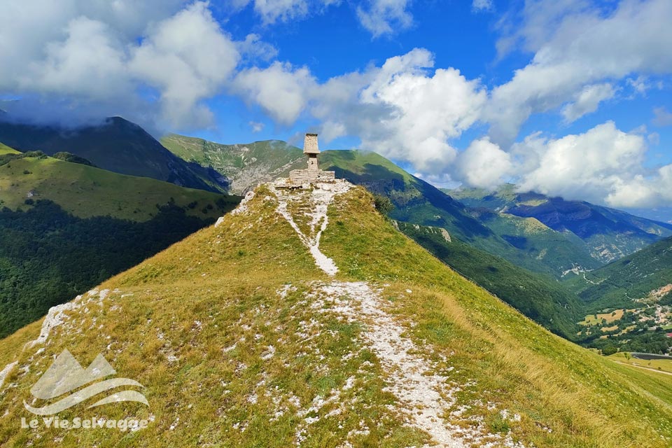 IMG 20240626 102718 960