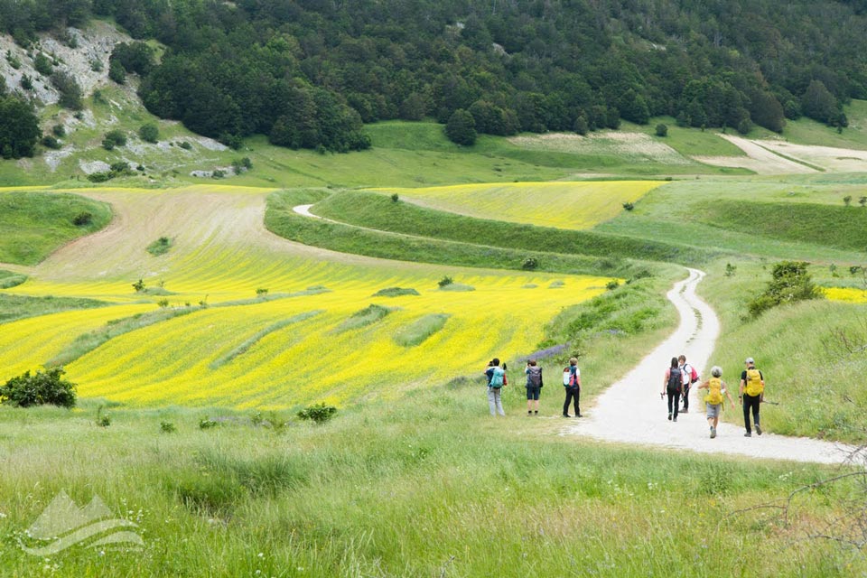 Sibillini IMG 7598 960