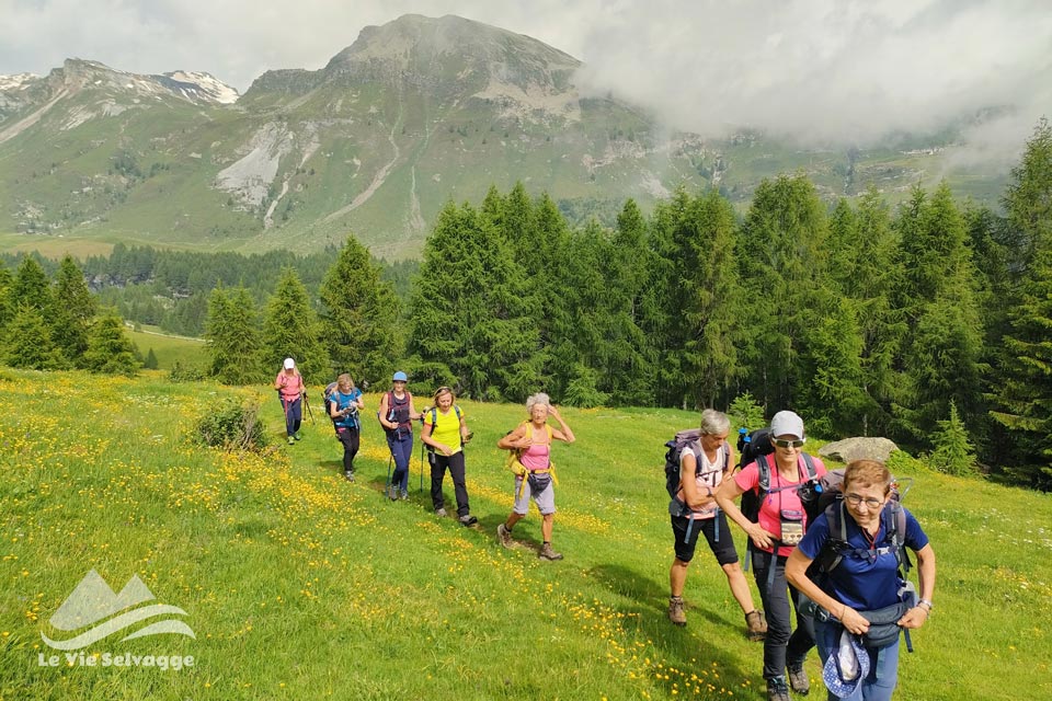 IMG 20240629 195853 960