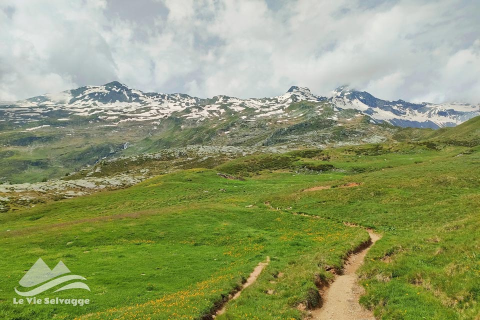 IMG 20240629 200422 960