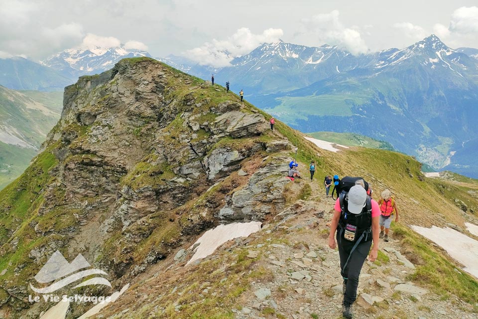 IMG 20240629 204049 960