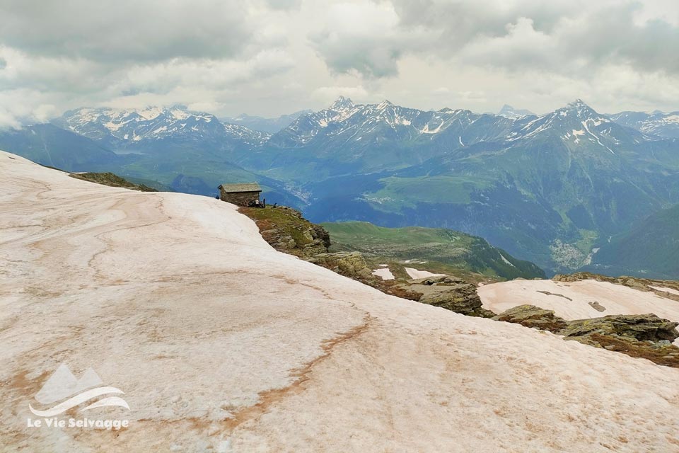 IMG 20240629 221548 960