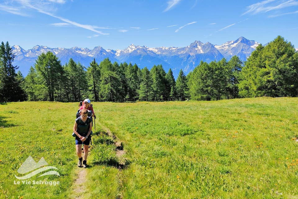 IMG 20240705 215706 960